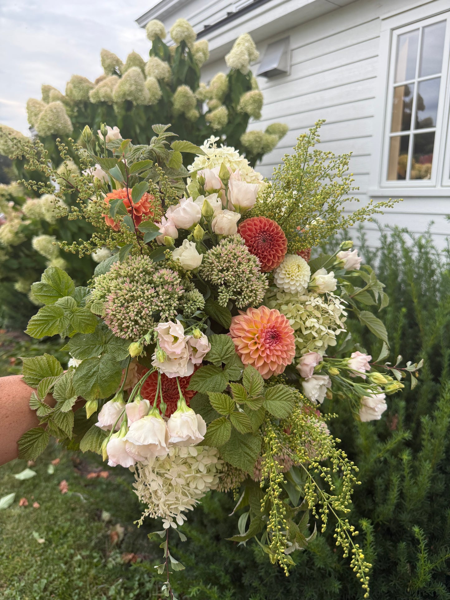 20th Ave Softer peach